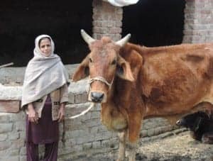 Rani, Client of Kashf Foundation