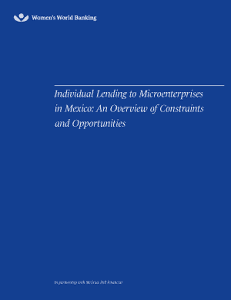 Individual Lending to Microenterprises in Mexico: A Survey of Constraints and Opportunities