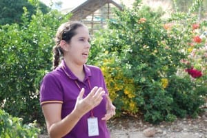 Fundacion delamujer loan officer