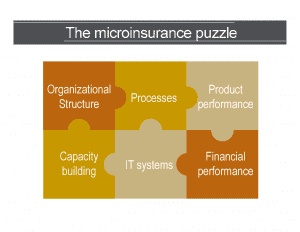 What does it take to offer microinsurance?