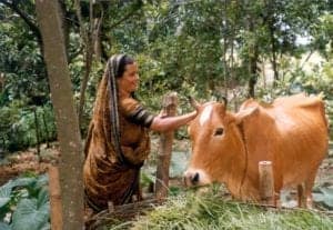 Bangladesh 1 300x207 1