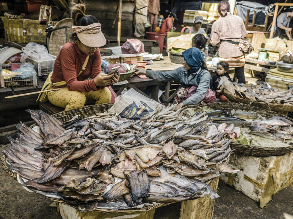 Can Information Predict the Way forward for Ladies’s Financial Empowerment?