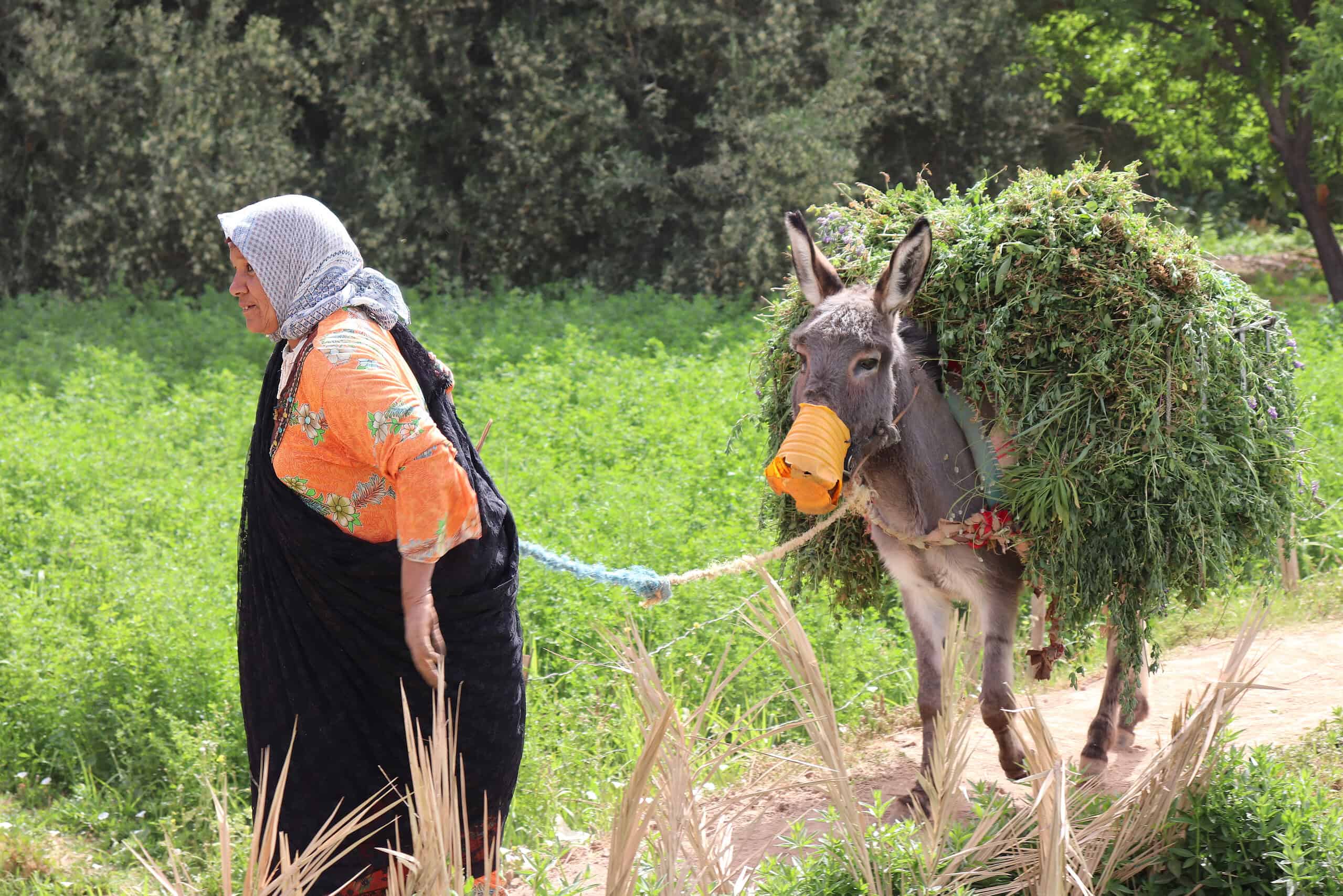 shutterstock 1922790767 scaled